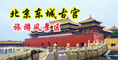 美女高潮不断淫水的视频网站中国北京-东城古宫旅游风景区
